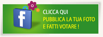 Verdesign