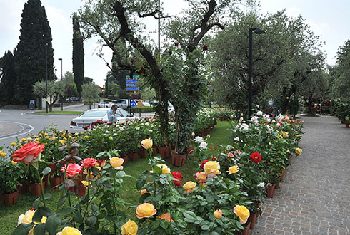 Padenghe verde