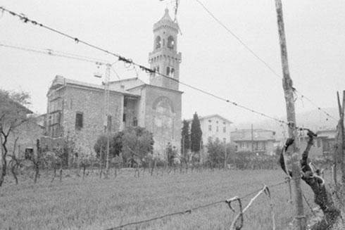 Padenghe verde