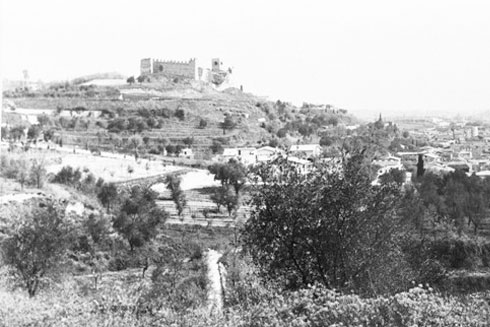 Padenghe verde